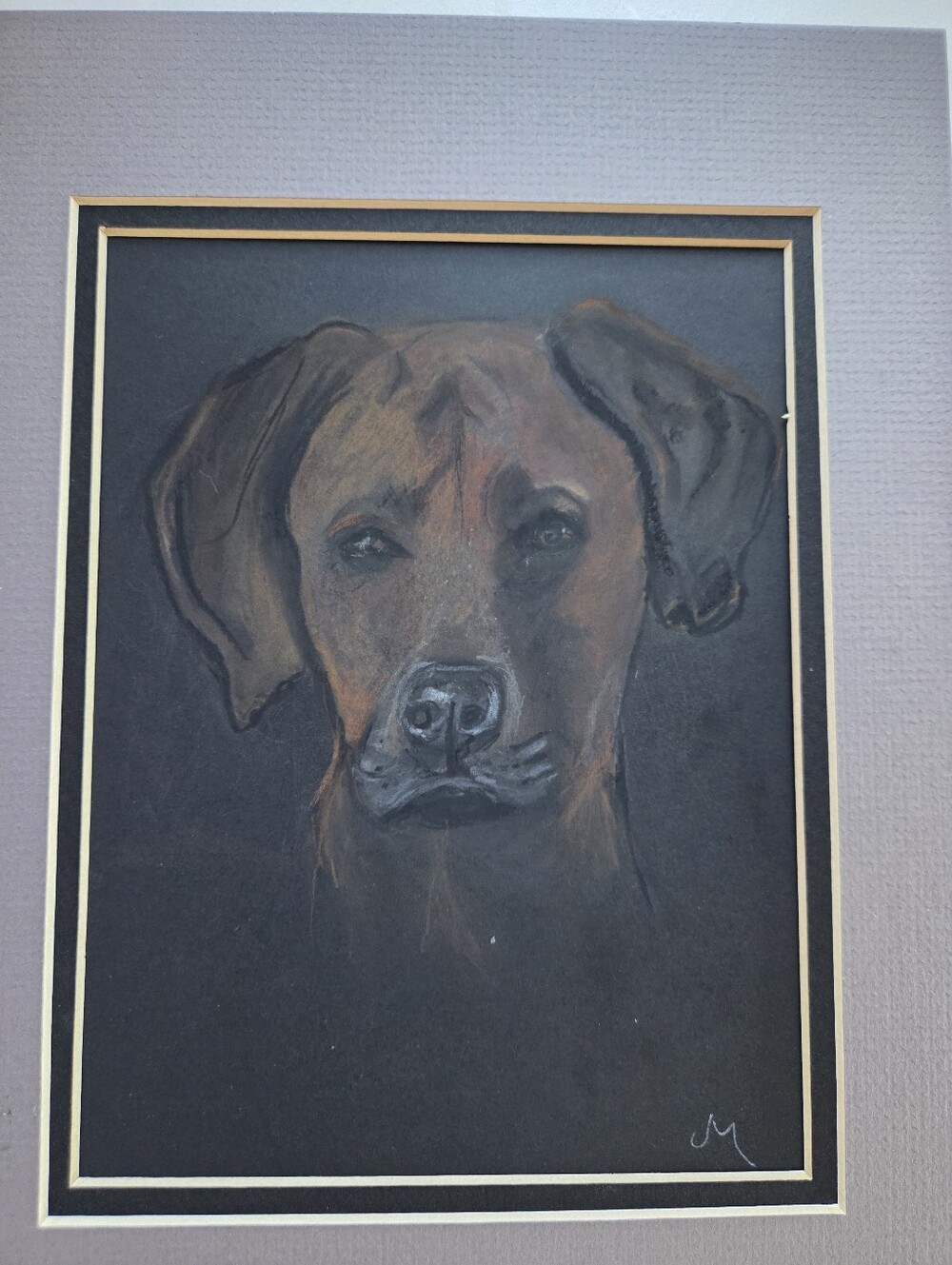 Original Signed Dog Portrait Ridgback - on Black Background
